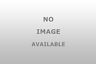3850415.01 385041501r Dinosaur Electronics Electric Replacement 799530707885
