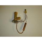 Acx010996 Unbranded Cpp Ac Expansion Valve For Buick Skylark Chevy Beretta