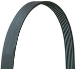 Ac & Idler Serpentine Belt For Freightliner, Peterbilt, Kenworth,. Fixed Price $39.10.