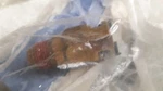 Oem 1994 2000 Chevrolet Gmc Heater Inlet Connector # 15650056. Fixed Price $45.00.