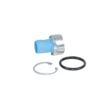 Gm Oem Air Conditioner-high Pressure Cut-off Switch 89019183. Fixed Price $56.00.