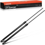 Rear Window Lift Supports Struts 2PC 1992-2000 Chevy Astro Gmc Safari. Fixed Price $40.99.