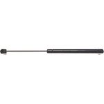 4451 Strong Arm Liftgate Glass Support Driver Passenger Side For Chevy. Fixed Price $28.96.